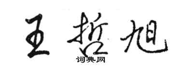 骆恒光王哲旭行书个性签名怎么写
