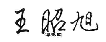 骆恒光王昭旭行书个性签名怎么写