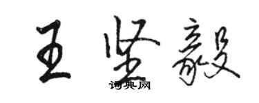 骆恒光王坚毅行书个性签名怎么写