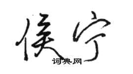 骆恒光侯宁行书个性签名怎么写