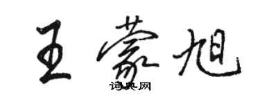 骆恒光王蒙旭行书个性签名怎么写