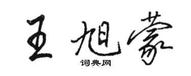 骆恒光王旭蒙行书个性签名怎么写