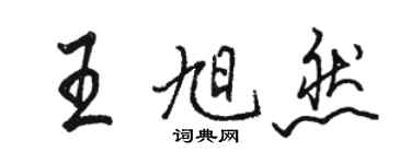 骆恒光王旭然行书个性签名怎么写