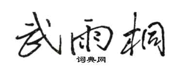 骆恒光武雨桐行书个性签名怎么写