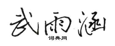 骆恒光武雨涵行书个性签名怎么写