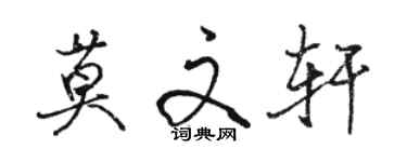 骆恒光莫文轩行书个性签名怎么写