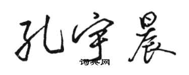 骆恒光孔宇晨行书个性签名怎么写