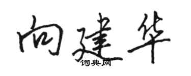骆恒光向建华行书个性签名怎么写