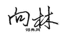 骆恒光向林行书个性签名怎么写