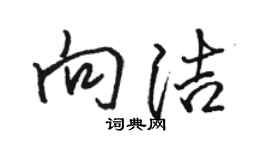 骆恒光向洁行书个性签名怎么写