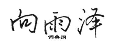 骆恒光向雨泽行书个性签名怎么写