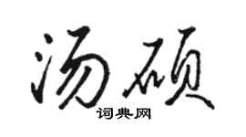 骆恒光汤硕行书个性签名怎么写