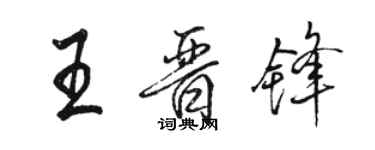 骆恒光王晋锋行书个性签名怎么写