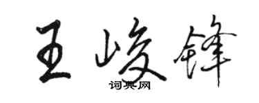 骆恒光王峻锋行书个性签名怎么写