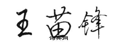 骆恒光王苗锋行书个性签名怎么写
