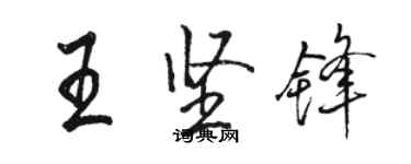 骆恒光王坚锋行书个性签名怎么写
