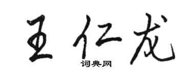 骆恒光王仁龙行书个性签名怎么写