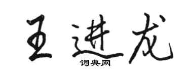 骆恒光王进龙行书个性签名怎么写