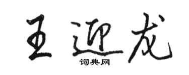 骆恒光王迎龙行书个性签名怎么写