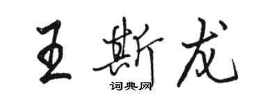 骆恒光王斯龙行书个性签名怎么写