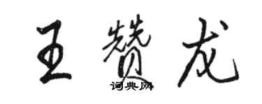 骆恒光王赞龙行书个性签名怎么写