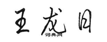 骆恒光王龙日行书个性签名怎么写