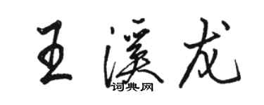 骆恒光王溪龙行书个性签名怎么写