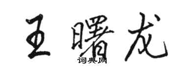 骆恒光王曙龙行书个性签名怎么写