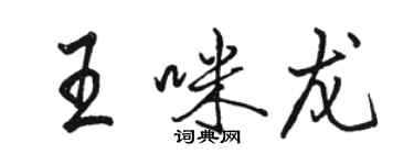 骆恒光王咪龙行书个性签名怎么写