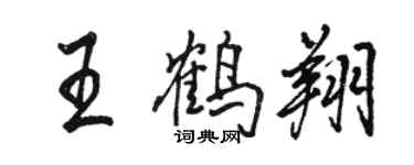 骆恒光王鹤翔行书个性签名怎么写
