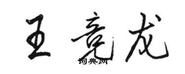 骆恒光王竞龙行书个性签名怎么写