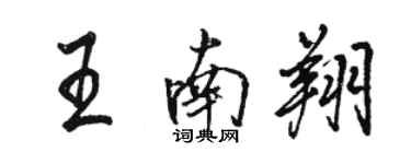 骆恒光王南翔行书个性签名怎么写