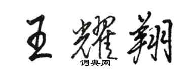 骆恒光王耀翔行书个性签名怎么写