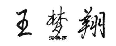 骆恒光王梦翔行书个性签名怎么写