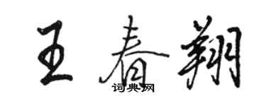 骆恒光王春翔行书个性签名怎么写