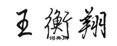 骆恒光王衡翔行书个性签名怎么写