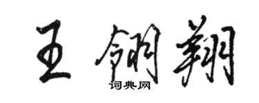 骆恒光王翎翔行书个性签名怎么写