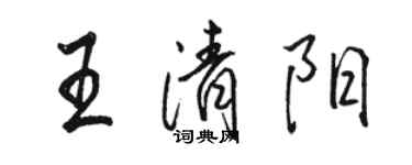 骆恒光王清阳行书个性签名怎么写