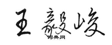 骆恒光王毅峻行书个性签名怎么写