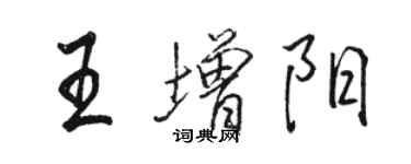 骆恒光王增阳行书个性签名怎么写