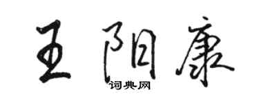 骆恒光王阳康行书个性签名怎么写