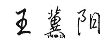 骆恒光王冀阳行书个性签名怎么写