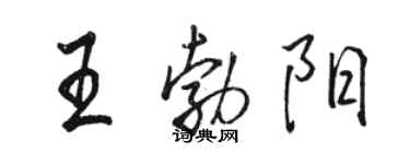 骆恒光王勃阳行书个性签名怎么写