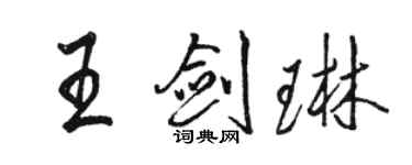 骆恒光王剑琳行书个性签名怎么写