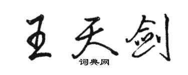 骆恒光王天剑行书个性签名怎么写