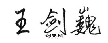 骆恒光王剑巍行书个性签名怎么写
