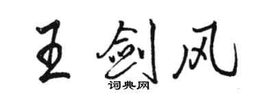 骆恒光王剑风行书个性签名怎么写