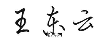 骆恒光王东云行书个性签名怎么写