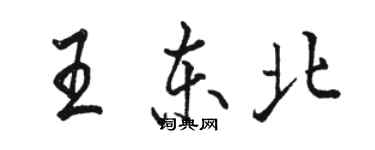 骆恒光王东北行书个性签名怎么写