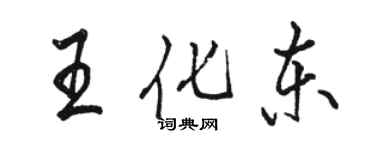 骆恒光王化东行书个性签名怎么写